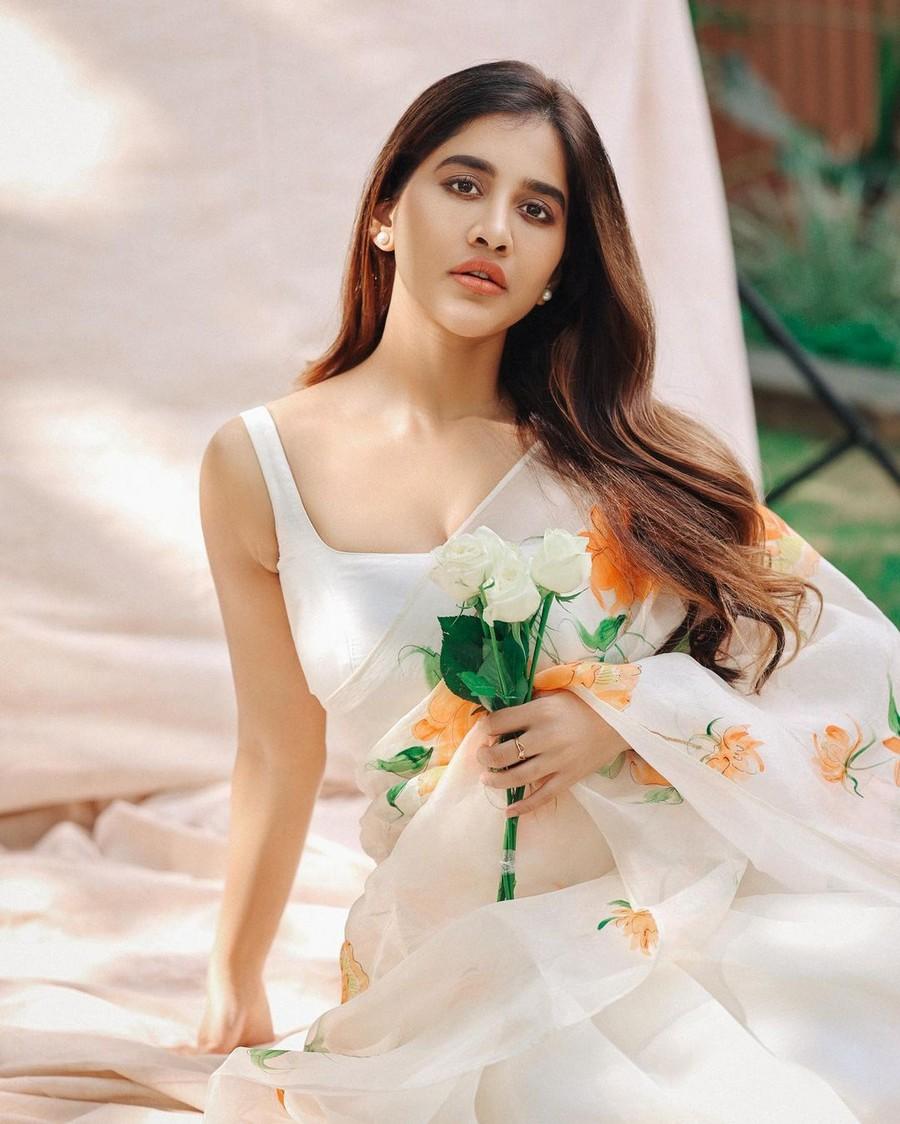 Nabha Natesh 3
