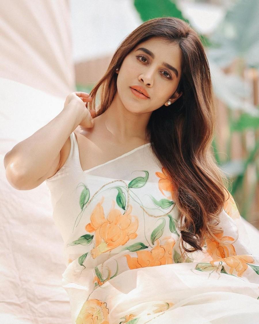 Nabha Natesh 5