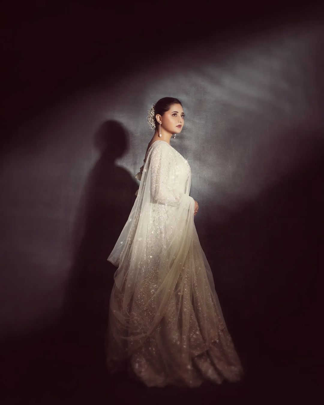 Rashami Desai (12)