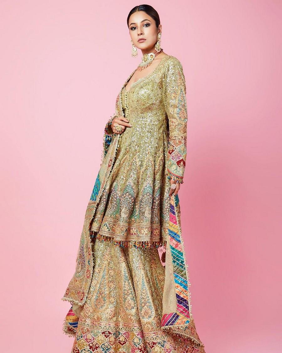 Shehnaaz Gill 5