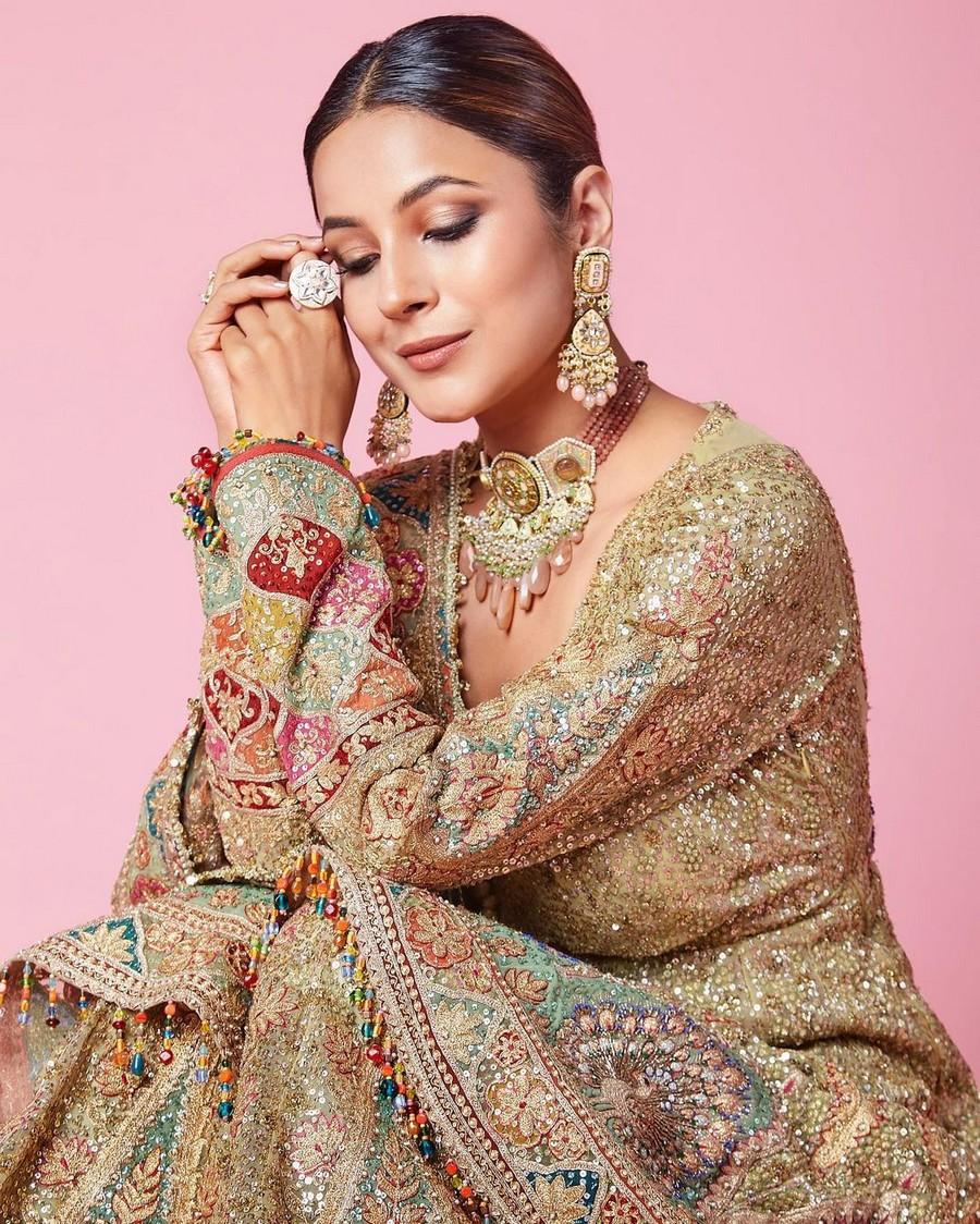 Shehnaaz Gill 6