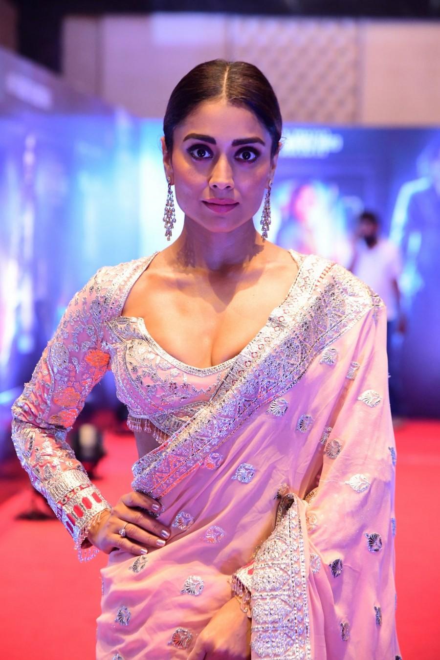 Shriya Saran 12