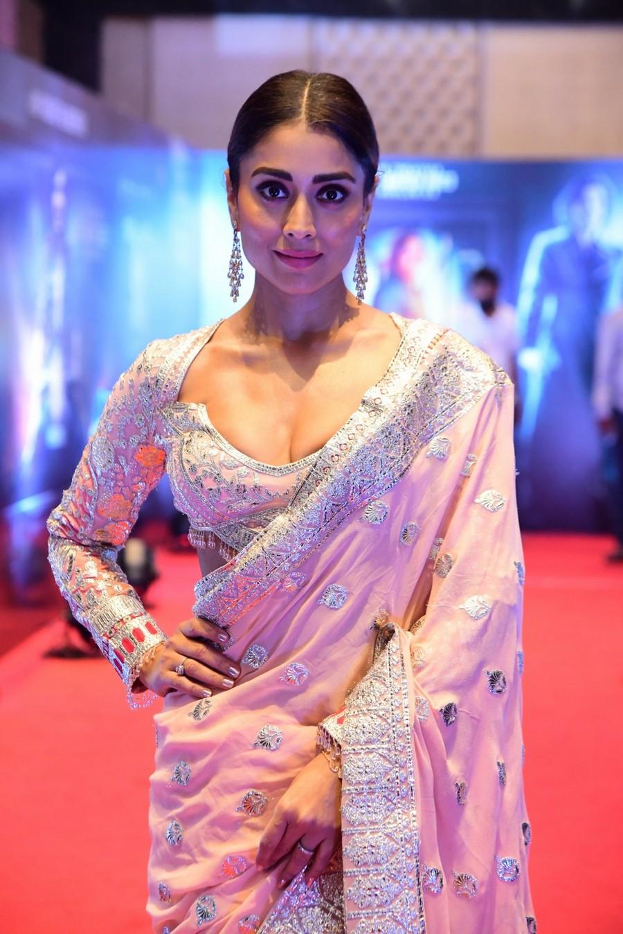 Shriya Saran 13