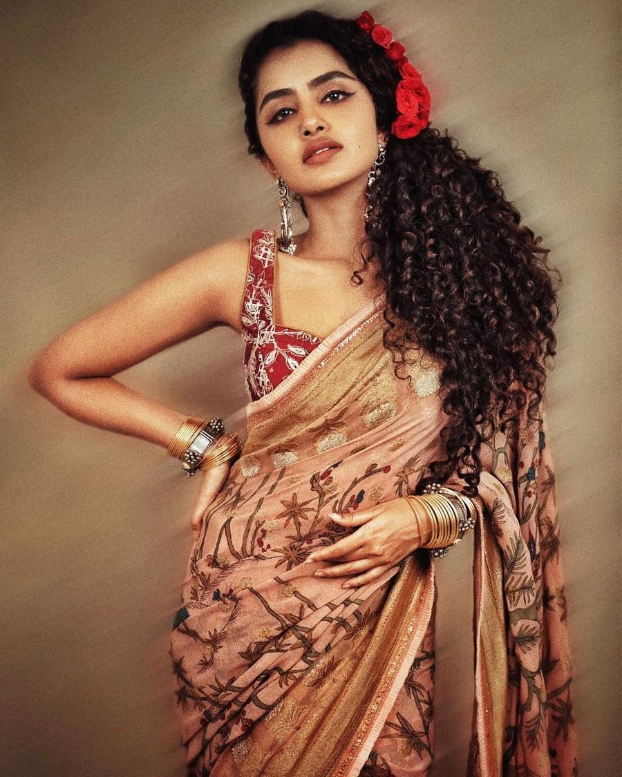Anupama Parameswaran 13