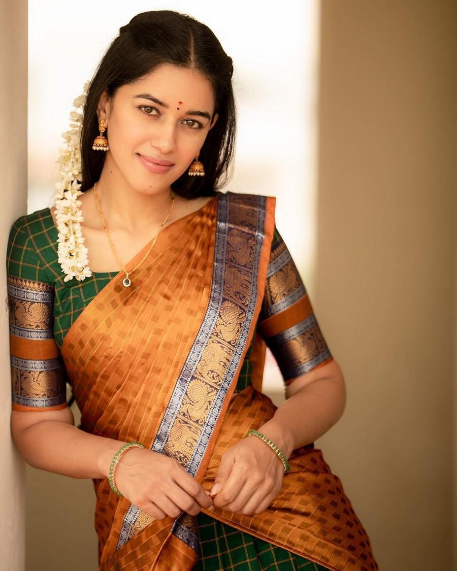 Mirnalini Ravi 4