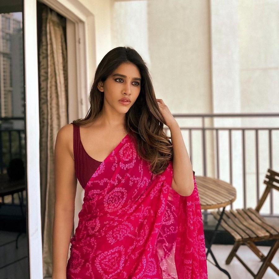 Nabha Natesh
