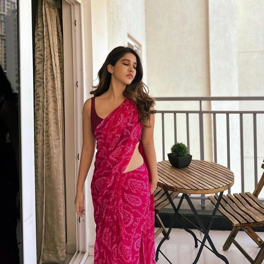 Nabha Natesh 2