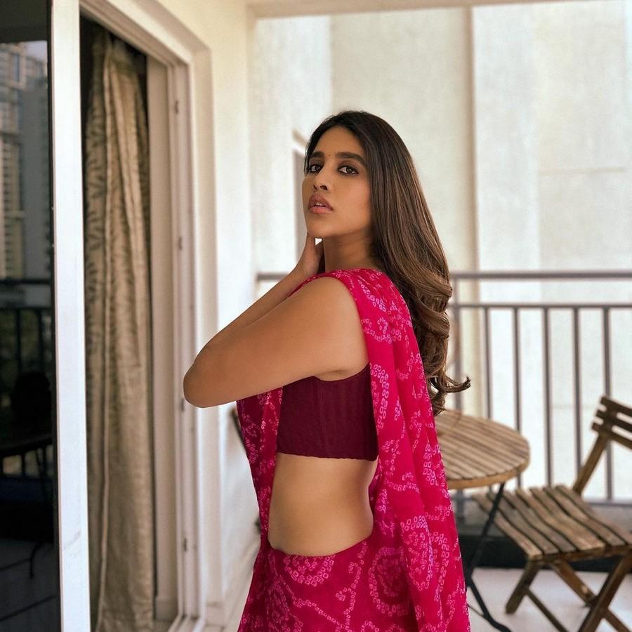 Nabha Natesh 6