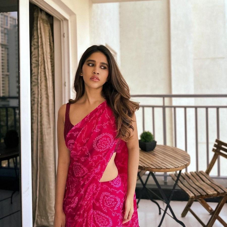 Nabha Natesh 7