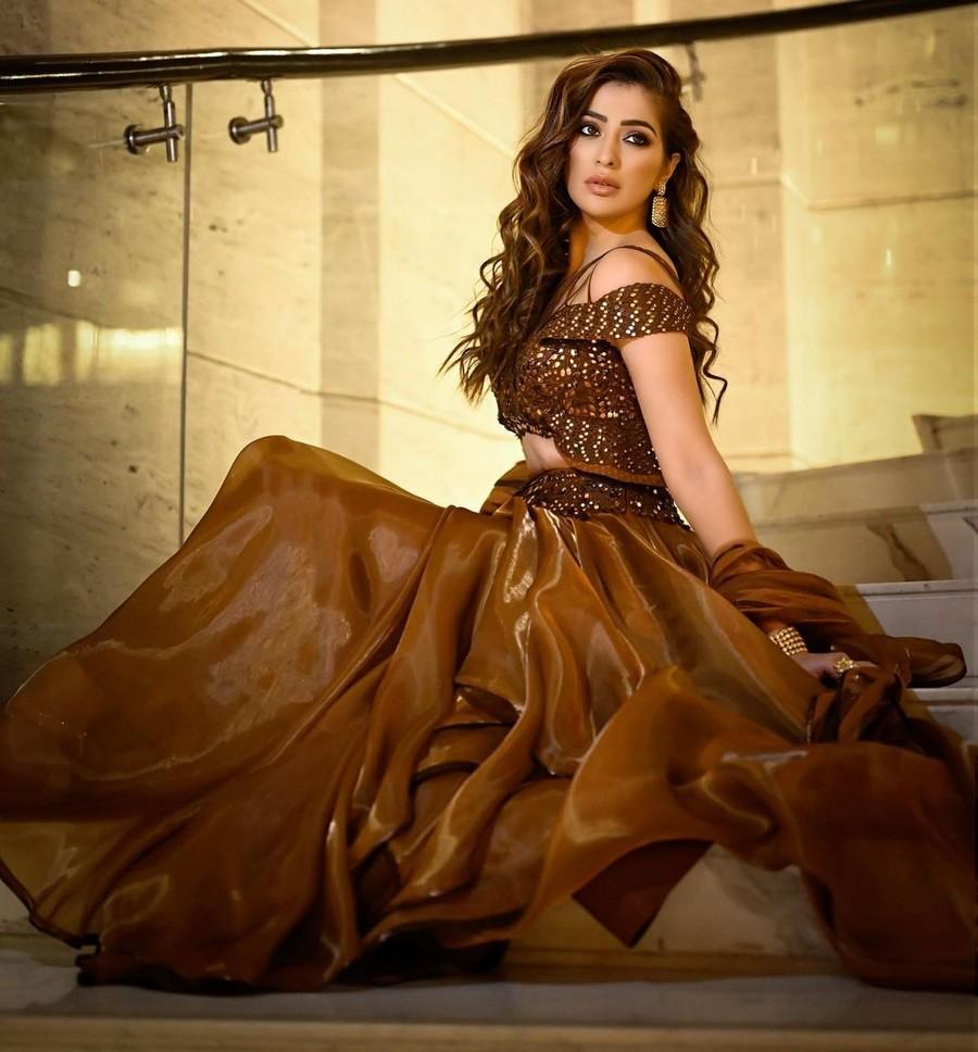 Raai Laxmi 11