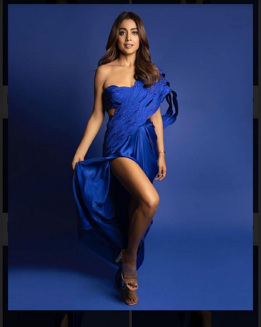 Shriya Saran 13
