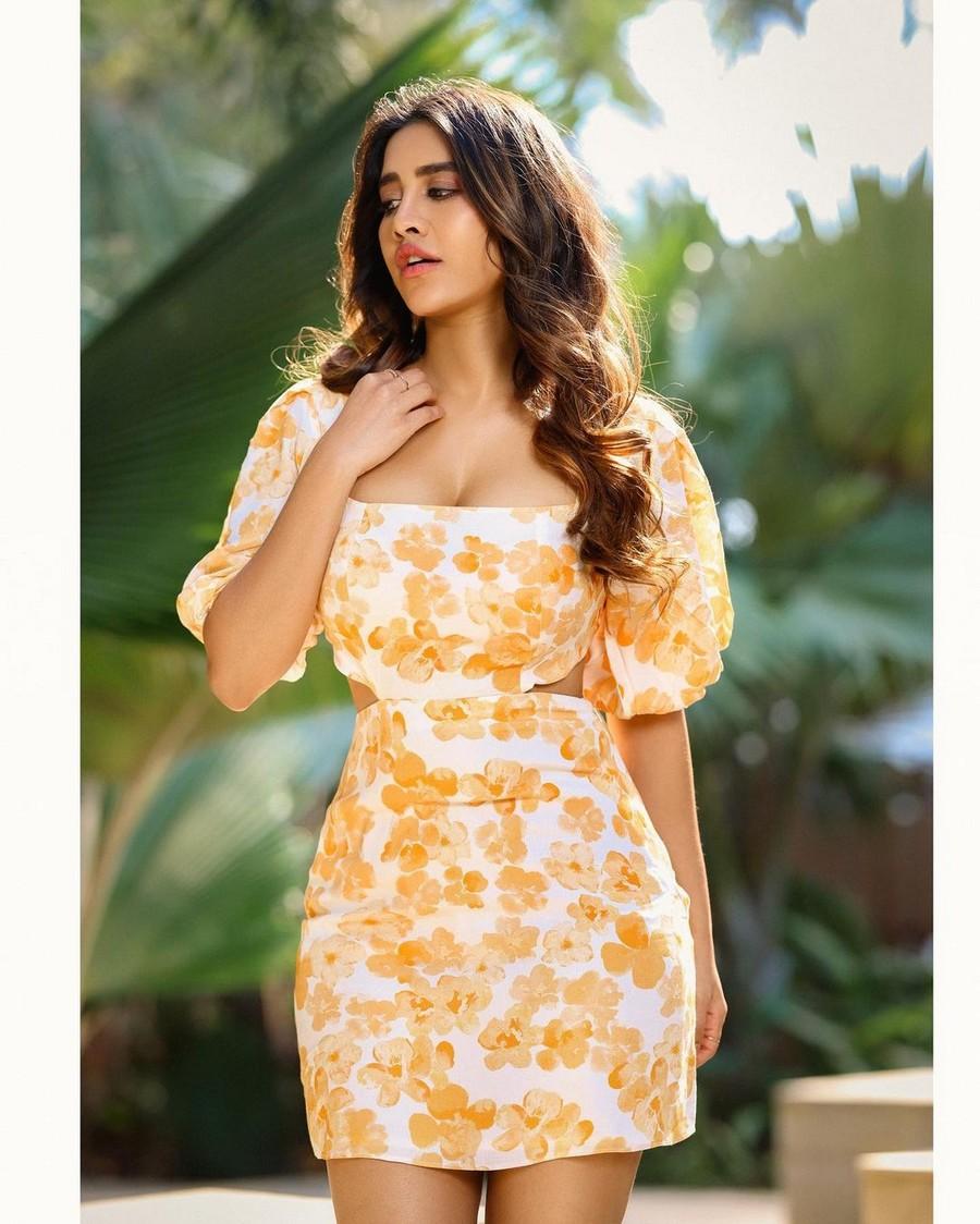 Nabha Natesh 2
