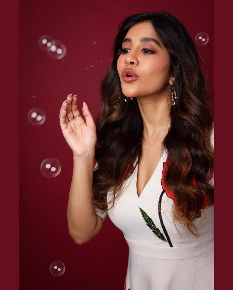 Nabha Natesh 1