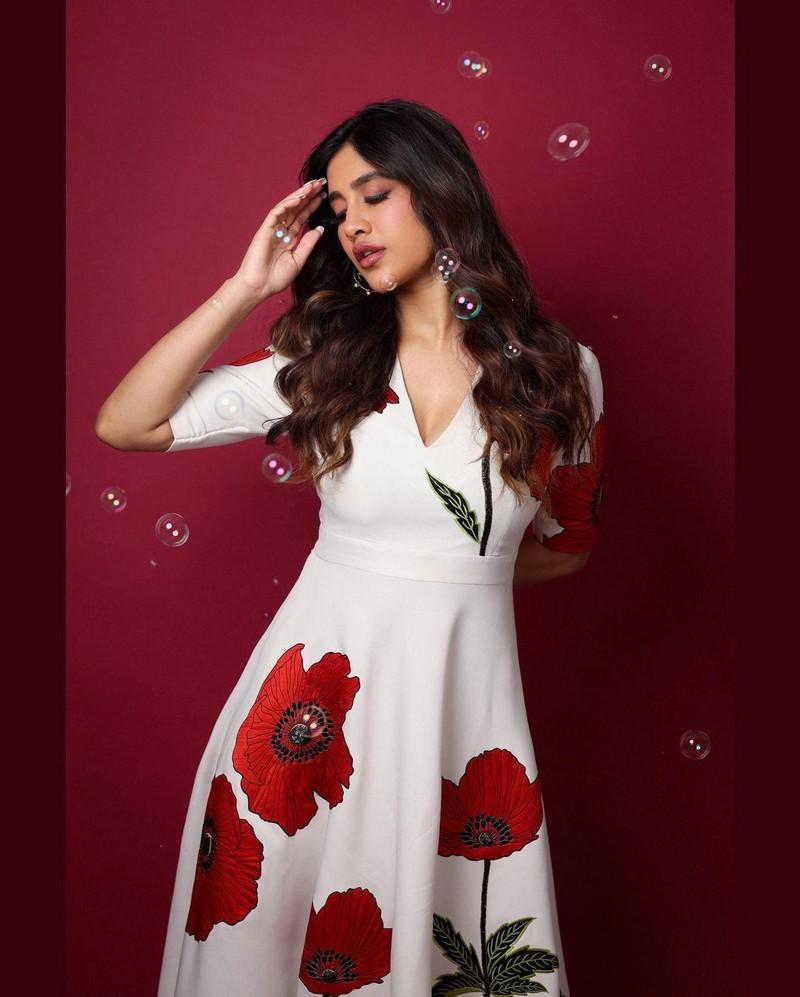 Nabha Natesh 3