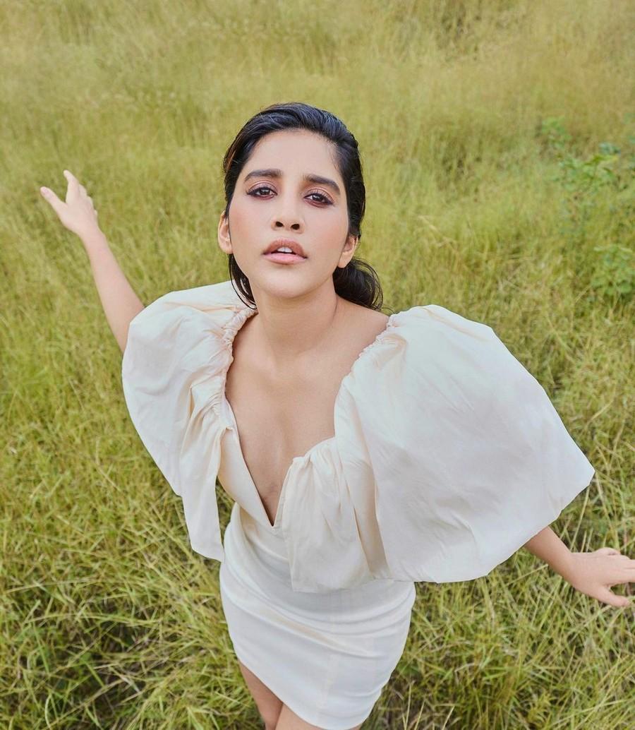 Nabha Natesh 6