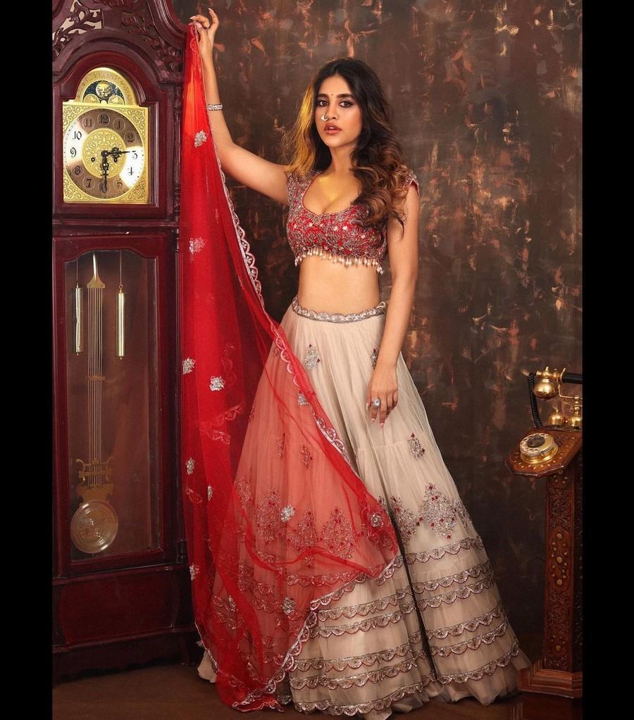 Nabha Natesh 2