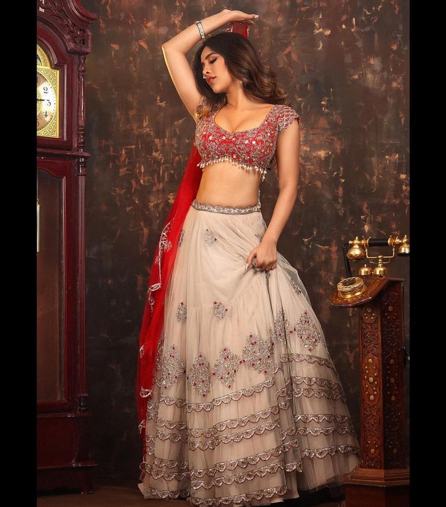 Nabha Natesh 5