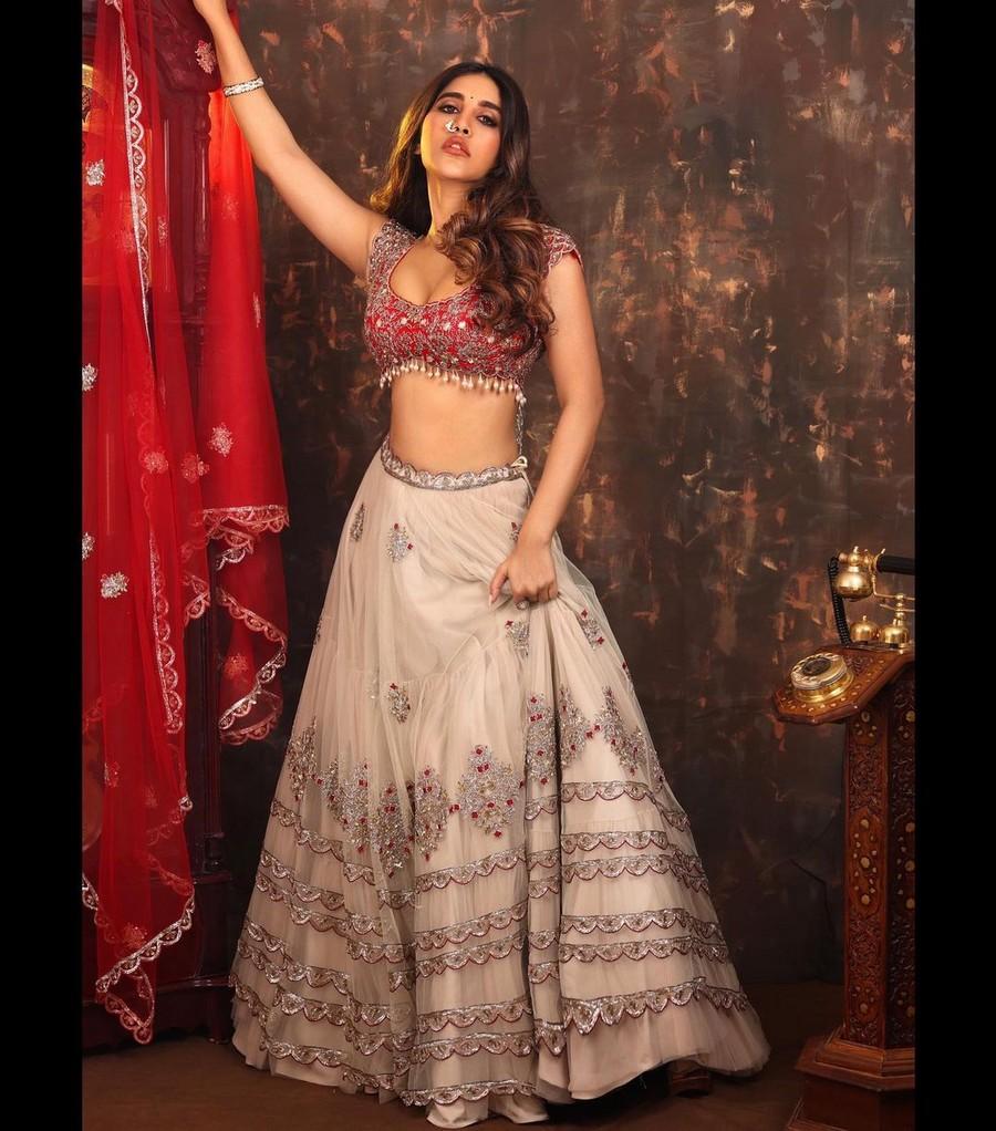 Nabha Natesh 7