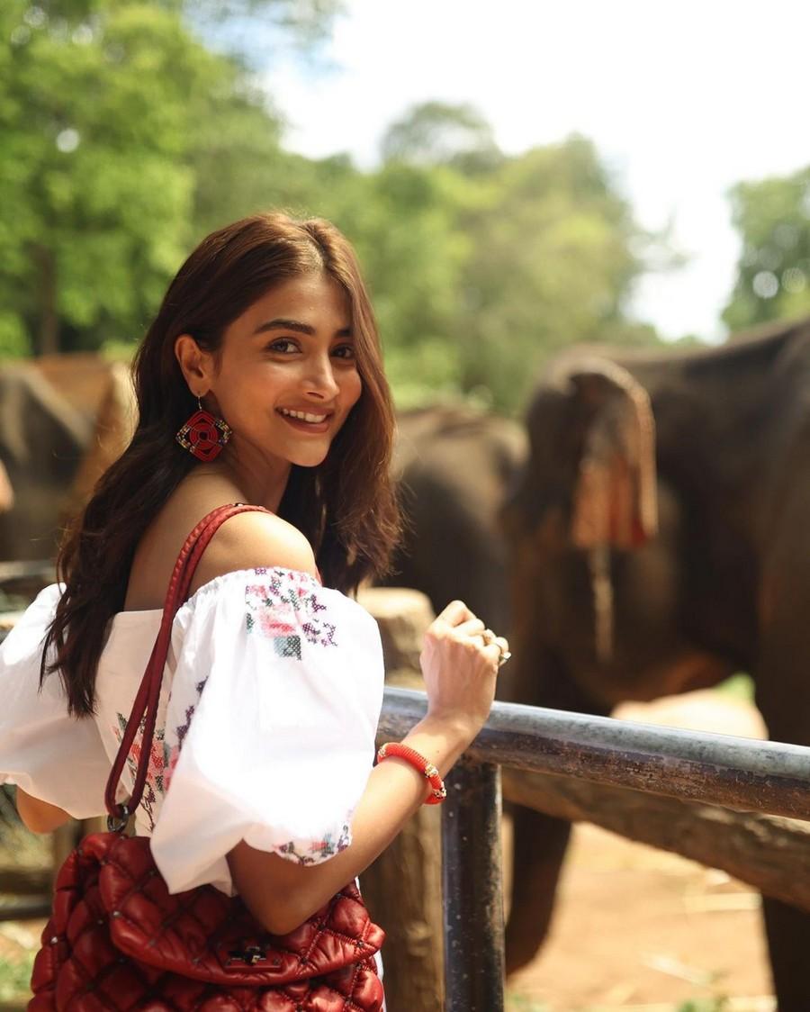 Pooja Hegde 9