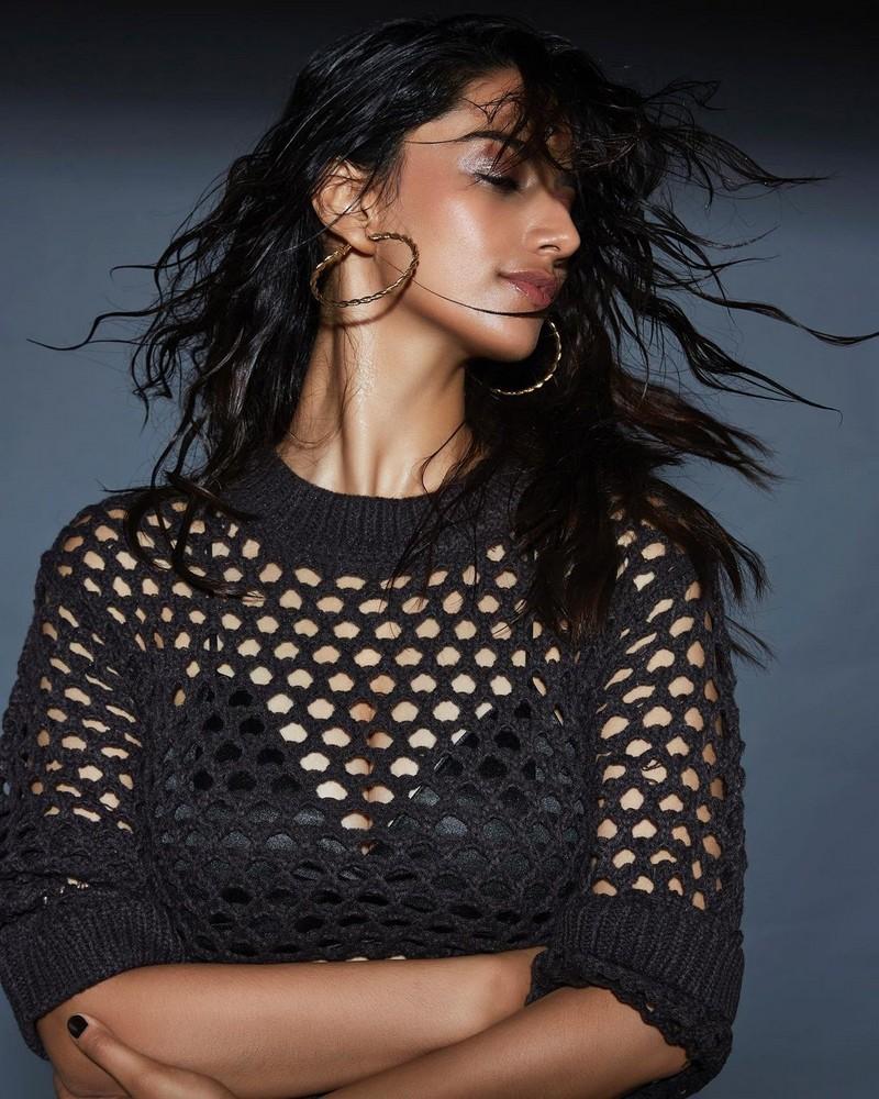 Meenakshii Chaudhary 4