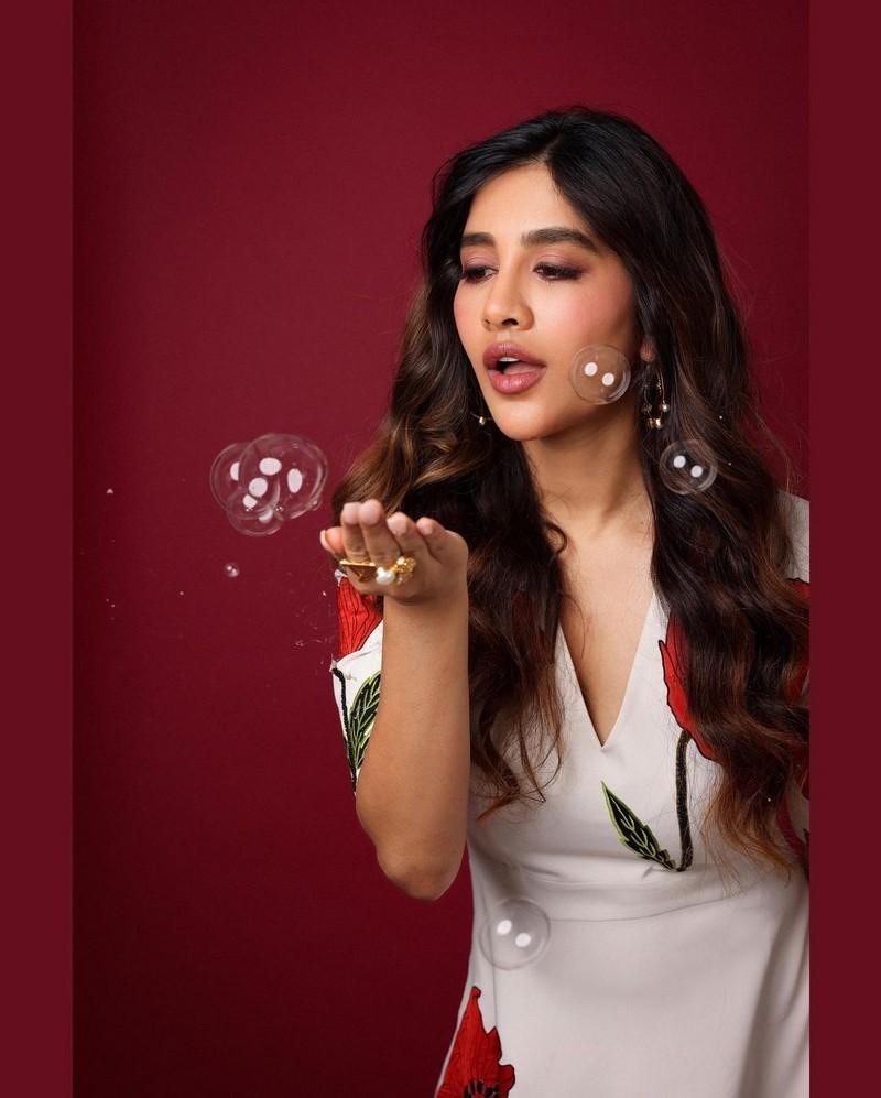 Nabha Natesh 7