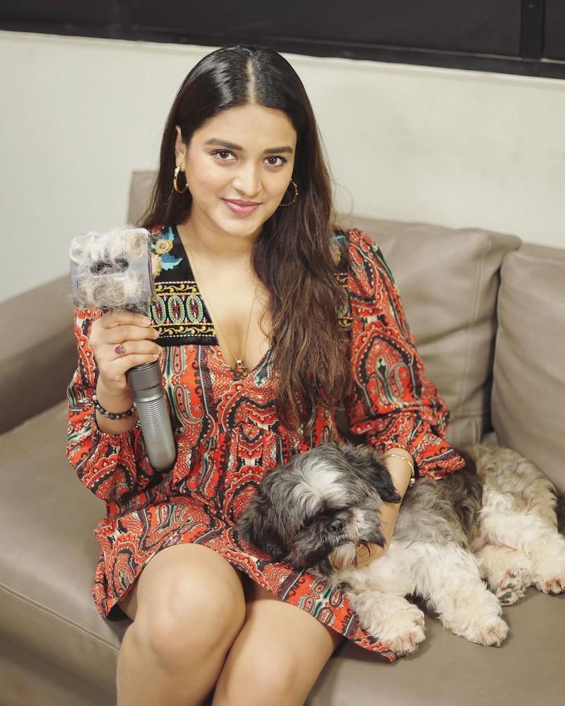 Nidhhi Agerwal 11