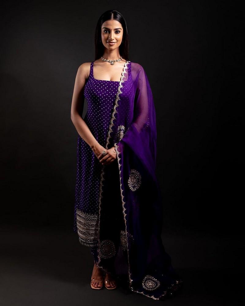Meenakshii Chaudhary 11