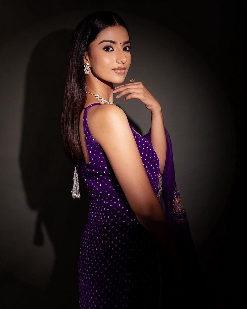 Meenakshii Chaudhary 6