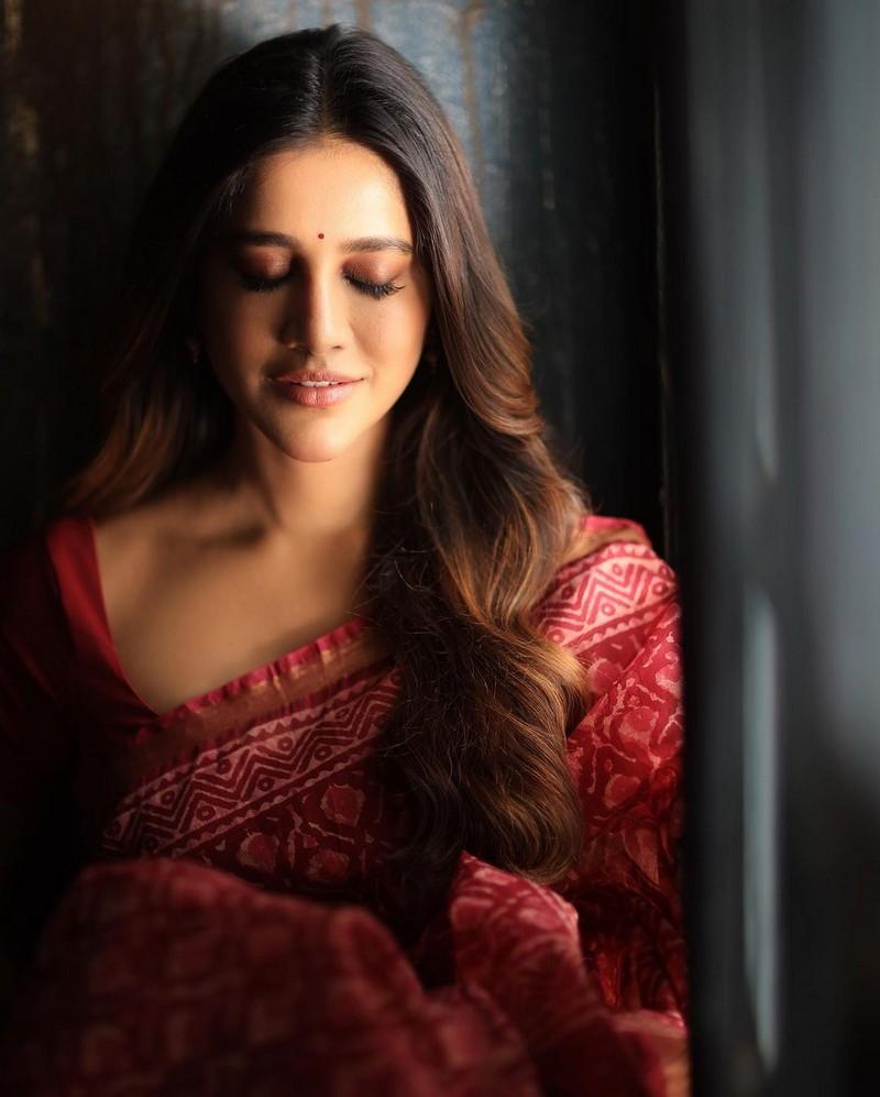 Nabha Natesh 1