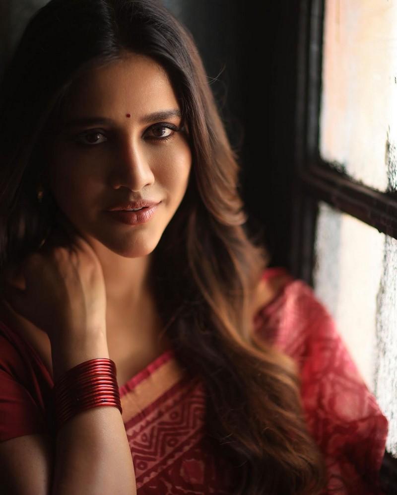 Nabha Natesh 10
