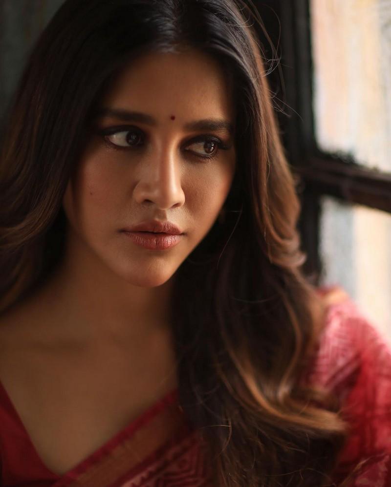 Nabha Natesh 2