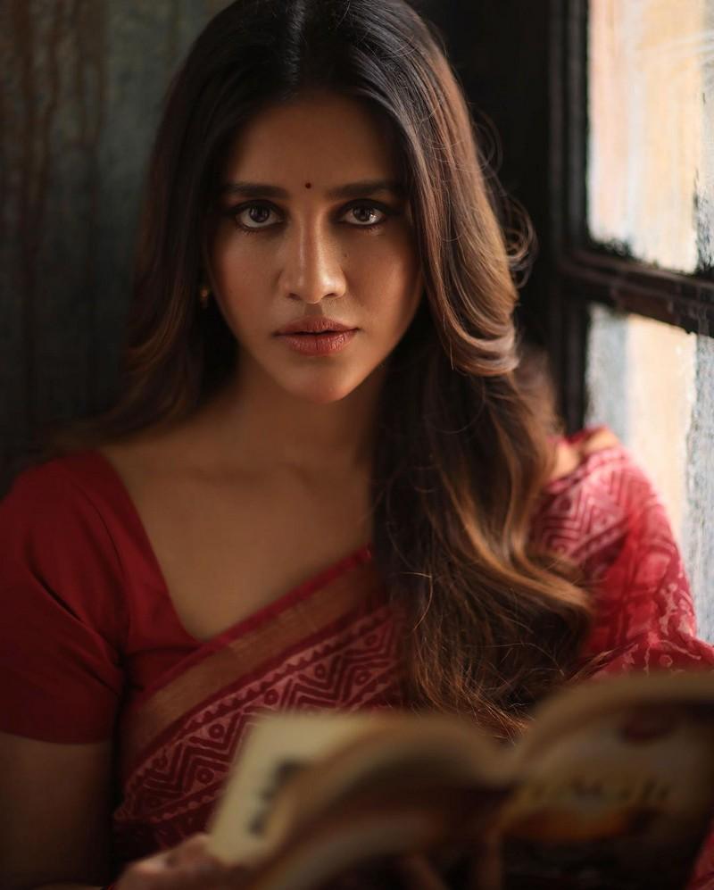 Nabha Natesh 3