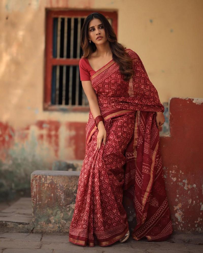 Nabha Natesh 5