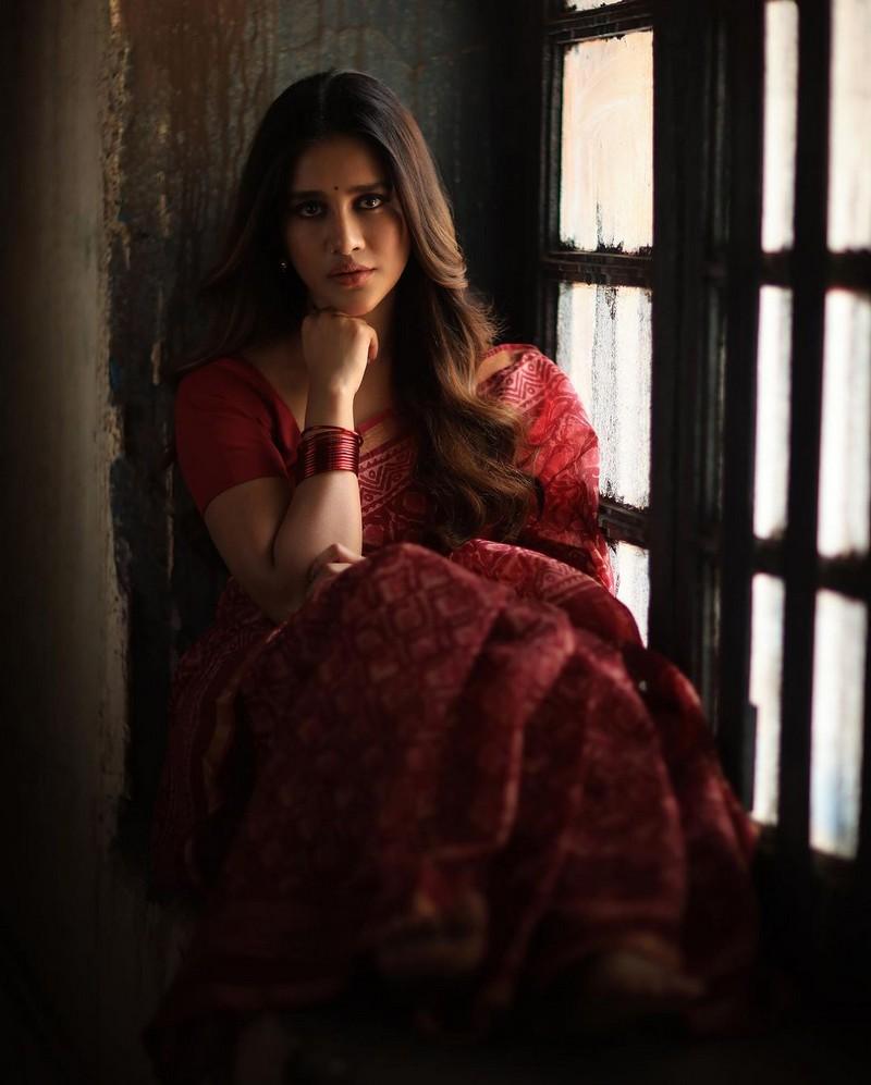 Nabha Natesh 6