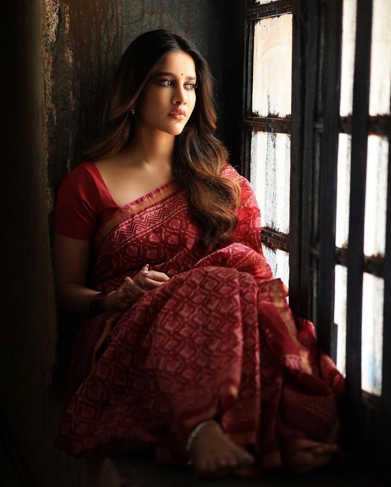 Nabha Natesh 7
