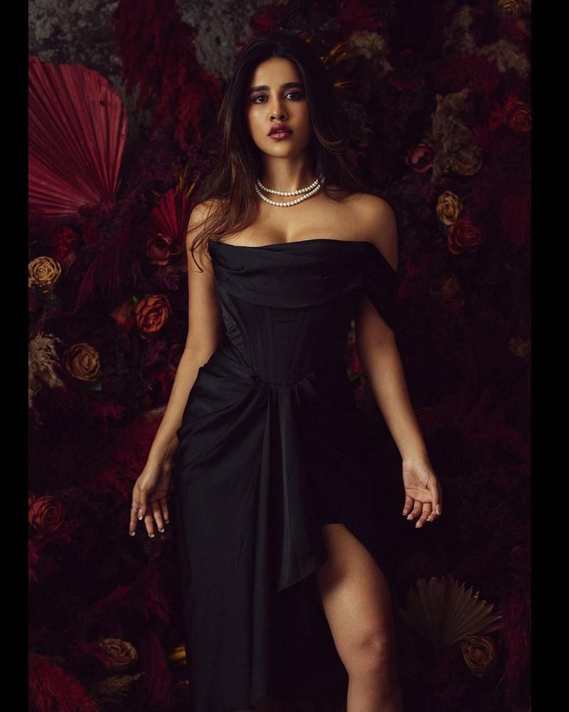 Nabha Natesh 1