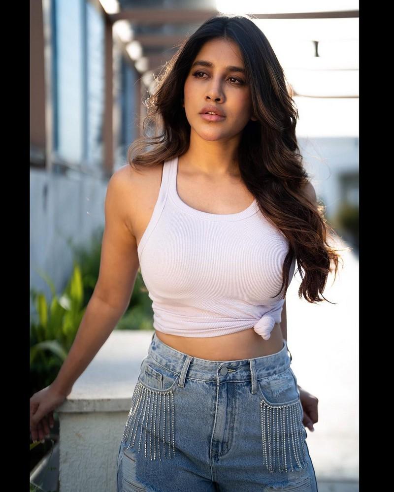 Nabha Natesh 2