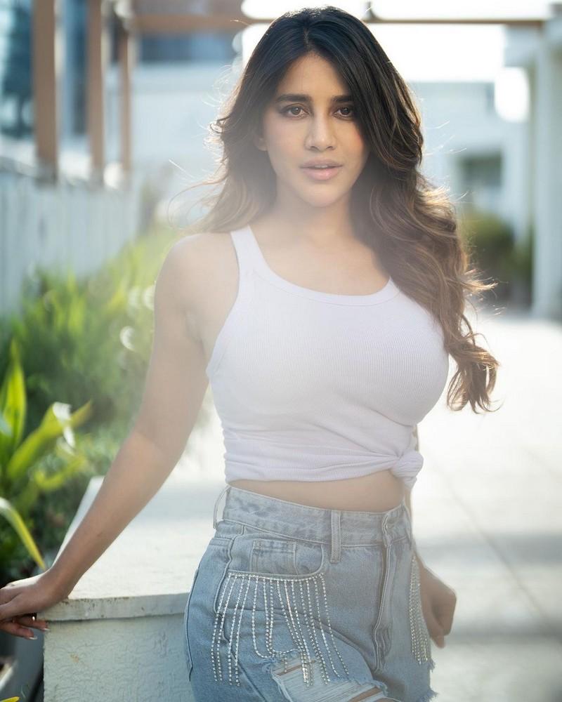 Nabha Natesh 3