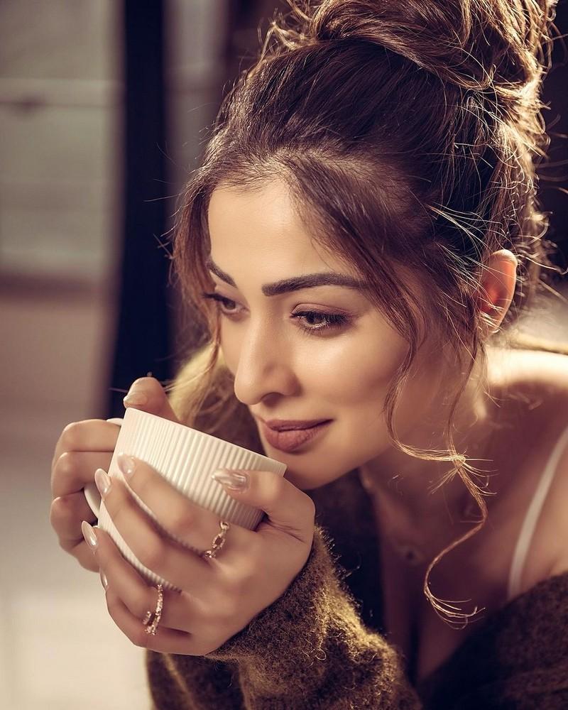 Raai Laxmi 11