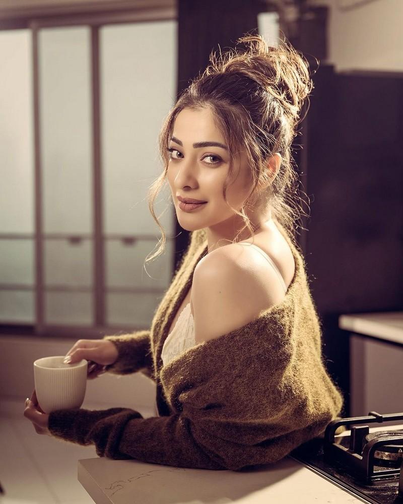 Raai Laxmi 2