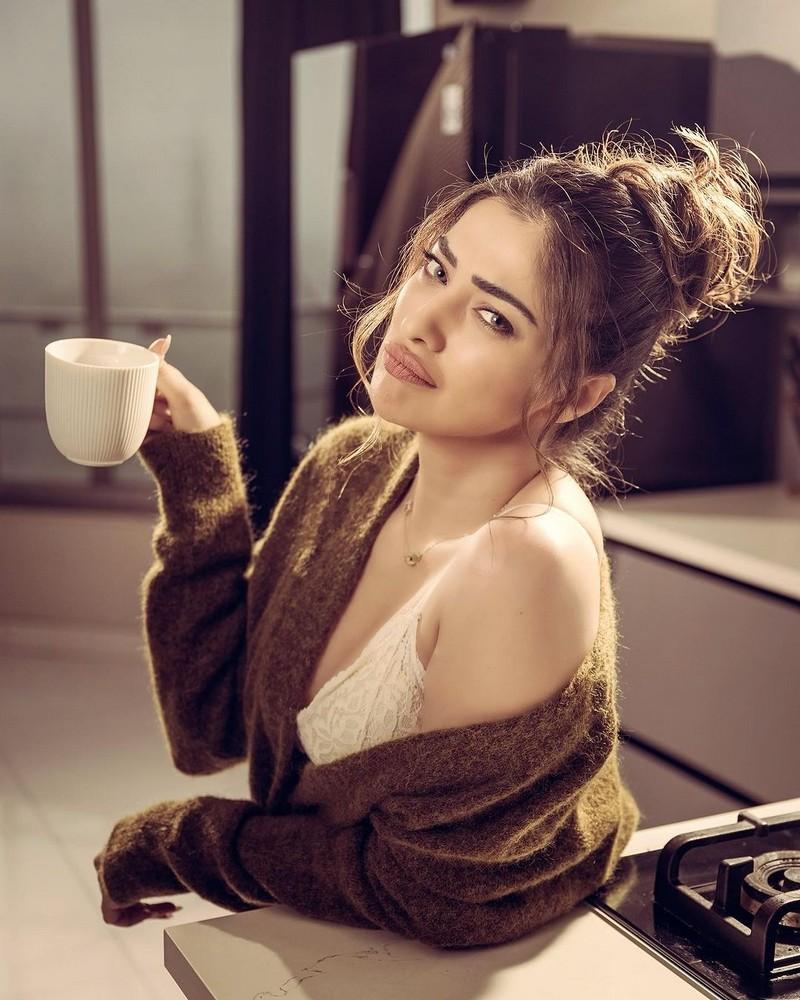 Raai Laxmi 8