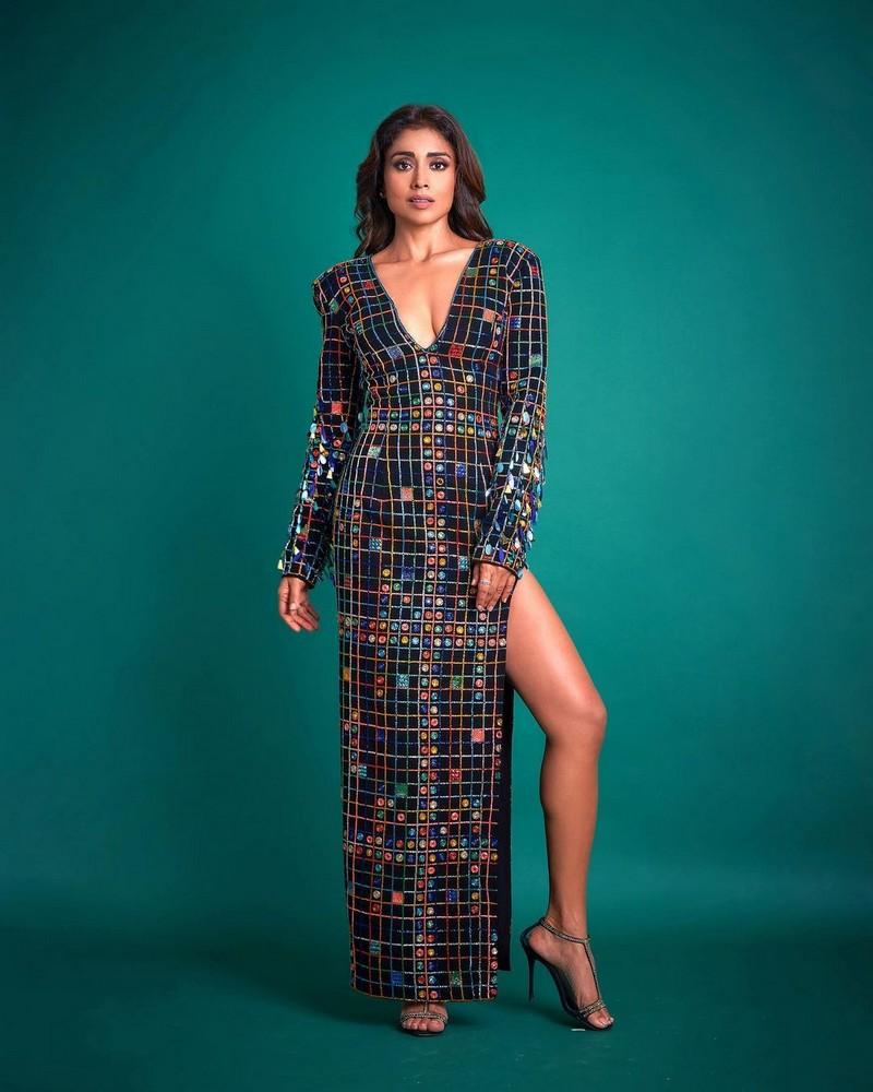 Shriya Saran 4