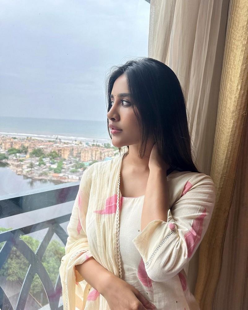 Nabha Natesh 17