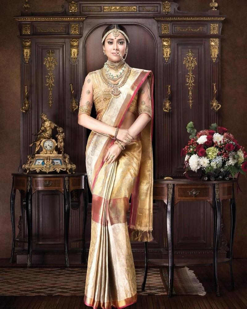 Shriya Saran 6