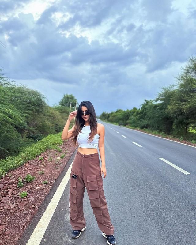 Nabha Natesh 7