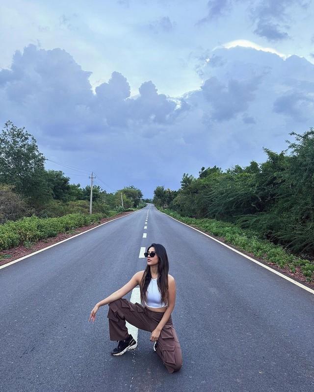Nabha Natesh 8