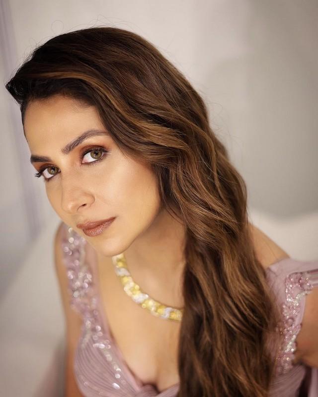 Malvika Raaj 5