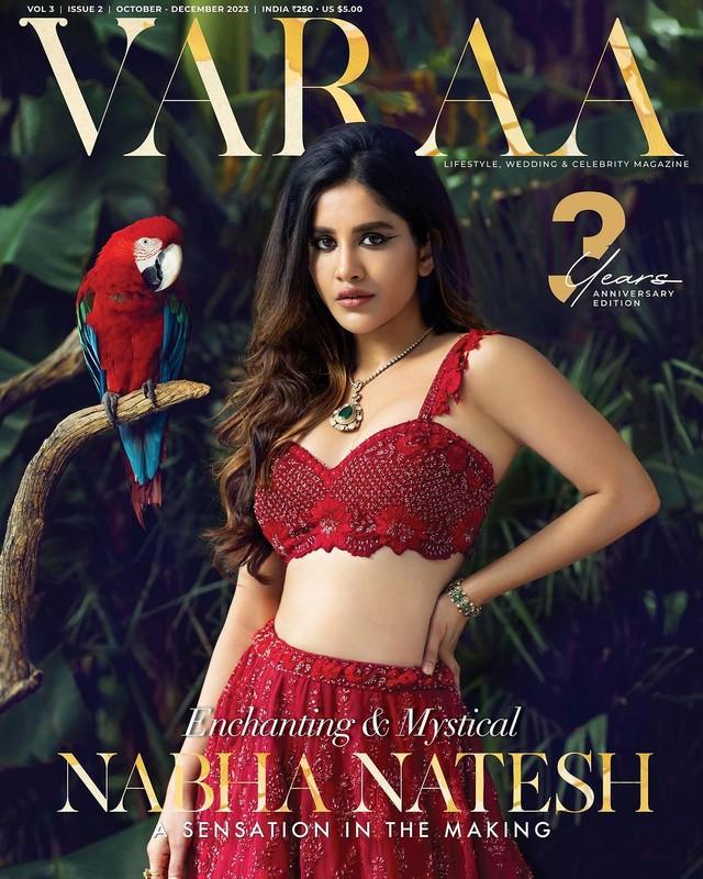 Nabha Natesh 2