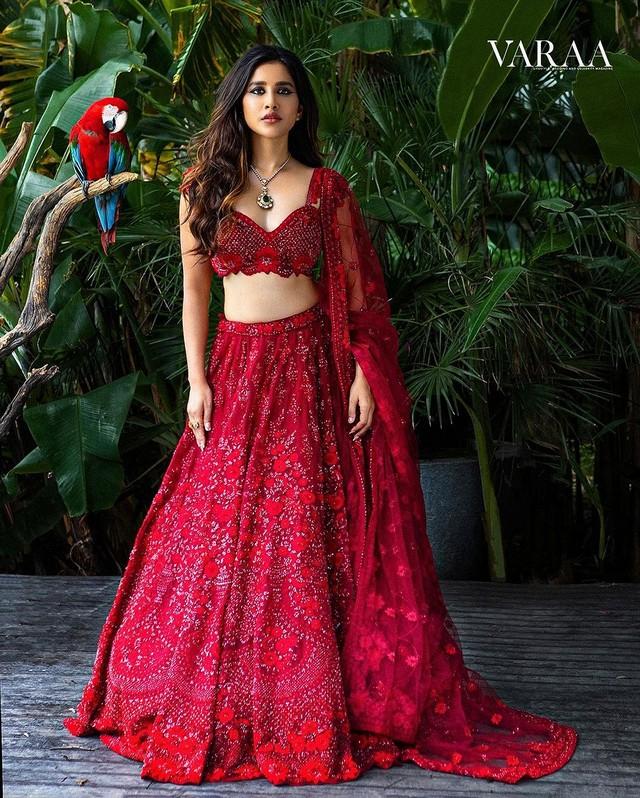 Nabha Natesh 3