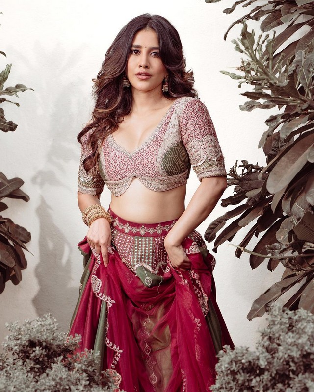 Nabha Natesh 7